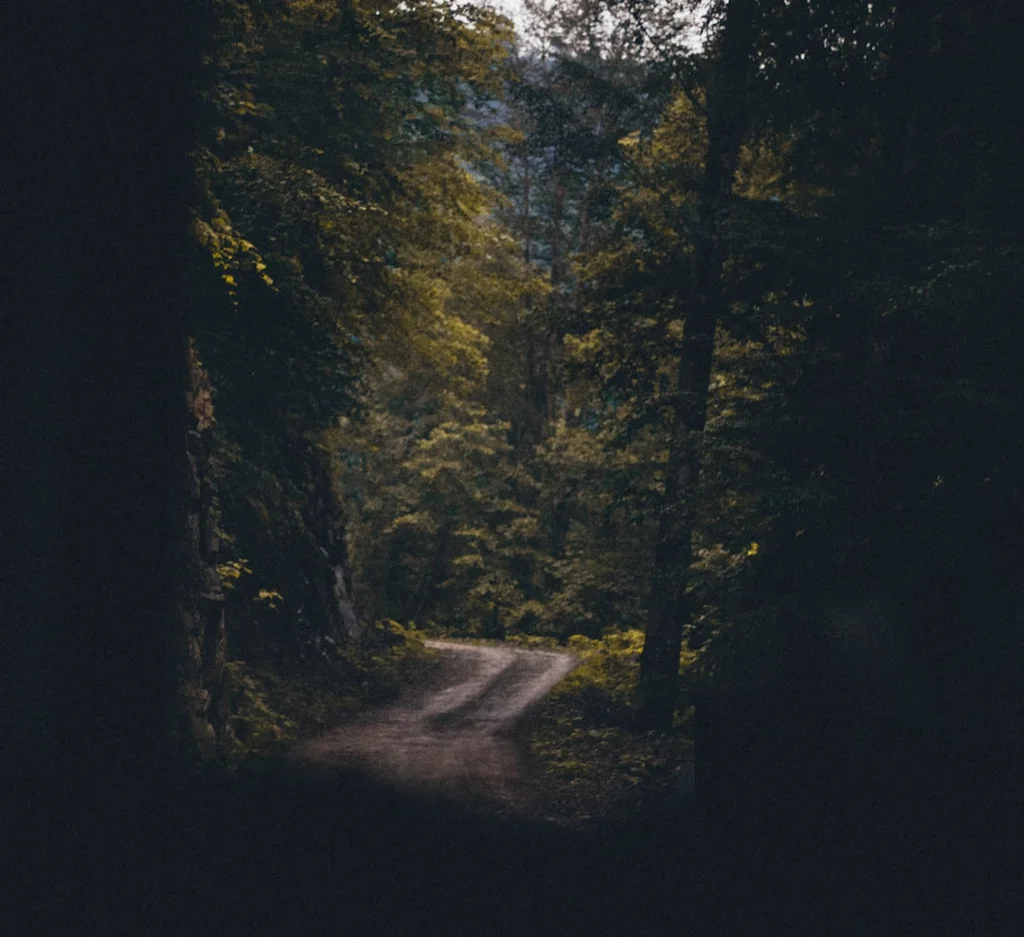 A woman sits at a sunlit table, writing in a journal with a steaming mug nearby, embodying morning journaling bliss.
