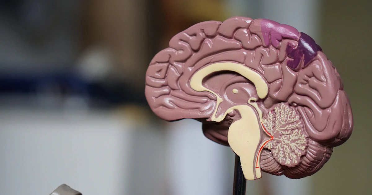 Freelance Copywriting in - detailed analysis and comparison