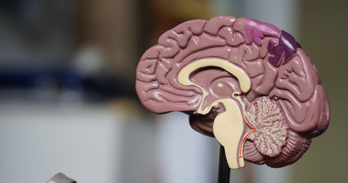 /Month TikTok Affiliate Marketing in - summary and practical applications